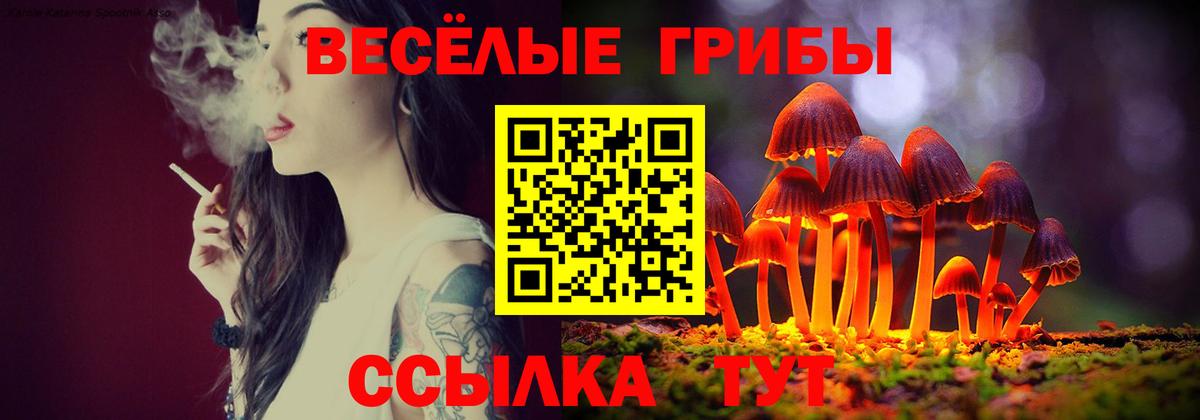 Псилоцибиновые грибы Magic Shrooms  Вход с VPN  Галлюциногенные грибы Psilocybe  Саянск 
